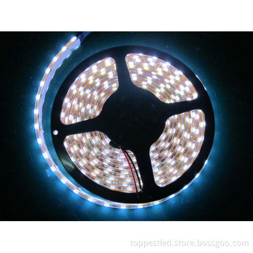 LED Strip Light (TP-F50-015W01)